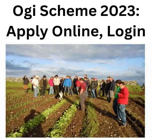 Ogi Scheme 2023