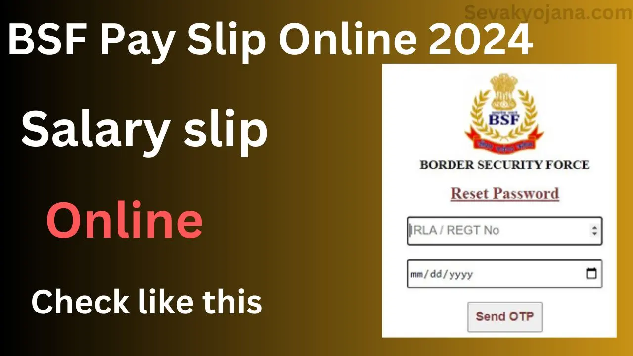 BSF Pay Slip 2024